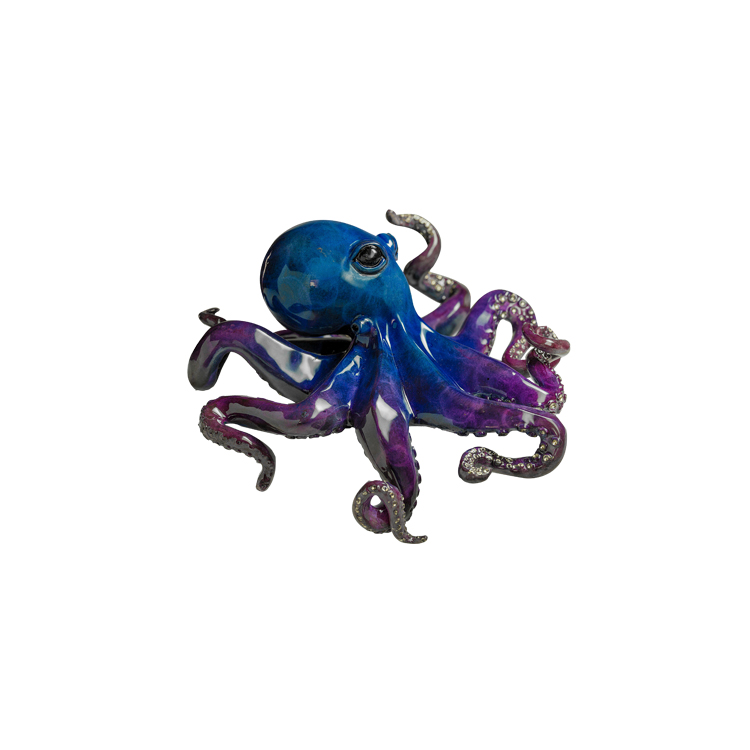  Small octopus